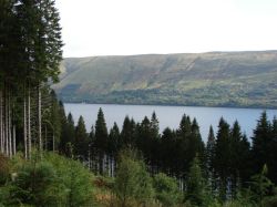 South Laggan Forest